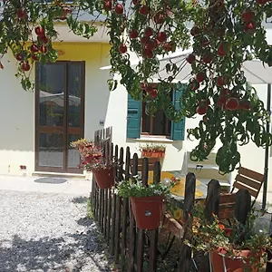  Appartamento Malcontenta